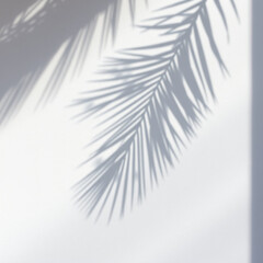 shadow palm leaf in the wind blowing overlay on white wall background wall textures