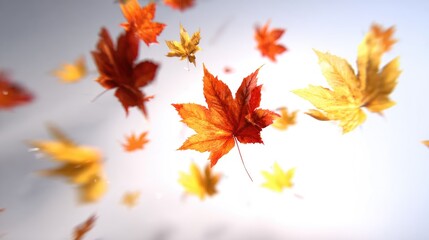 Autumn leaves, orange and gold, falling gently