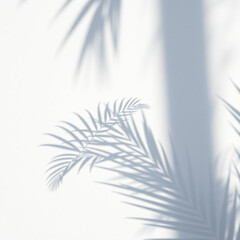 shadow palm leaf in the wind blowing overlay on white wall background wall textures