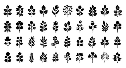Fototapeta premium Collection of Minimalist Floral Line Art on transparent background