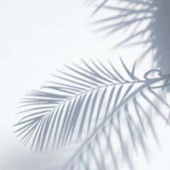 shadow palm leaf in the wind blowing overlay on white wall background wall textures