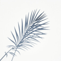 shadow palm leaf in the wind blowing overlay on white wall background wall textures