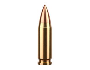 bullet isolated on white background