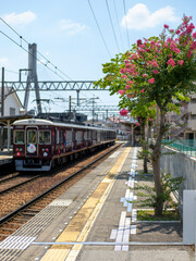 Naklejka premium 百日紅の花が咲く駅と電車