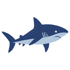 Obraz premium shark vector illustration