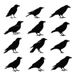 Obraz premium crow silhouette set, Black & White silhouette set