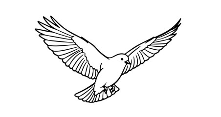 Obraz premium Flying dove drawing vector illustration for peace hope and freedom concept design element isolated on white