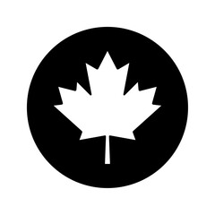 Maple leaf icon