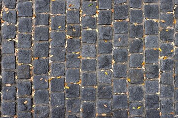 Black paver stone walkway texture background	