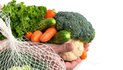 Fresh, vibrant vegetables held in a mesh bag.  Hands holding a mix of greens, carrots, cucumbers, broccoli, and cauliflower