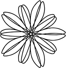 white flower on black background