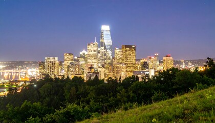 Obraz premium City lights and treeline glow