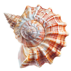Obraz premium Close-up of a beautiful, intricately patterned seashell. The spiral shell exhibits a mix of light beige, coral, and pale orange hues, with striped bands. A pointed spire accents the top