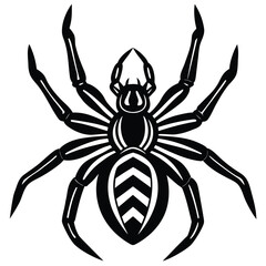 spider-vector-icon.eps