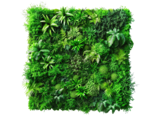 Square, textured wall-mounted greenery.  Dense arrangement of various small plants and moss in shades of green.  Evenly distributed throughout.  High-resolution, detailed view from above