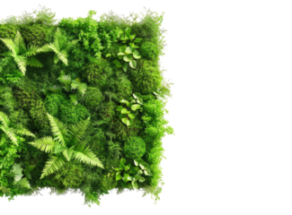 Lush green vertical garden panel