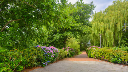 Fototapeta premium Charming City Park in Baltic Seaside Town of Binz, Rugen Island, Germany