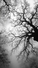 Low-angle monochrome shot of gnarled, leafless tree branches against a hazy sky