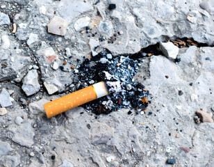 Cigarette Butt on City Street