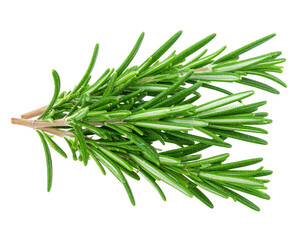 Fototapeta premium rosemary twig isolated on white background