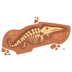 Paleontology illustration of a prehistoric marine reptile fossil skeleton