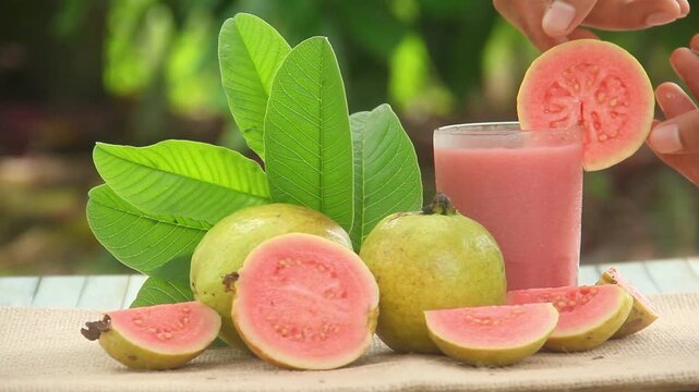 Red guava juice, guava juice or Psidium Guajava garnished with fresh red guava pieces and decorated with lush guava leaves