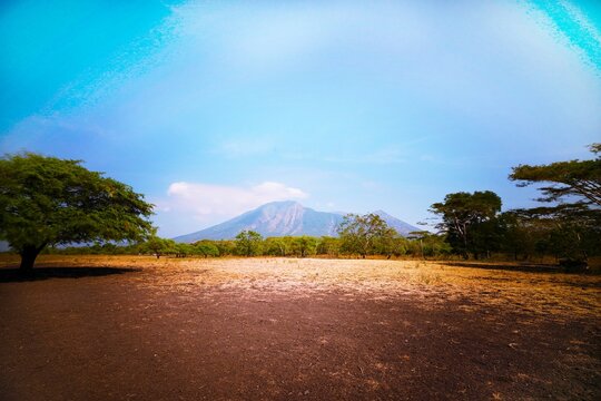 Baluran National Park, East Java, Indonesia