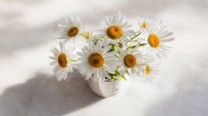 Obraz premium Daisy bouquet in a ceramic vase, softly lit by morning light for a fresh and natural botanical arrangement. 