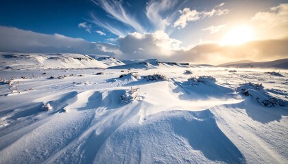 Icy tundra windblown landscape