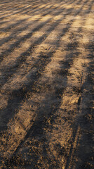 Dirt path with shadows and tire tracks