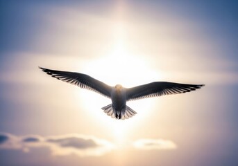 Naklejka premium Majestic Seagull Ascending Through The Sunlit Sky, Symbolizing Freedom