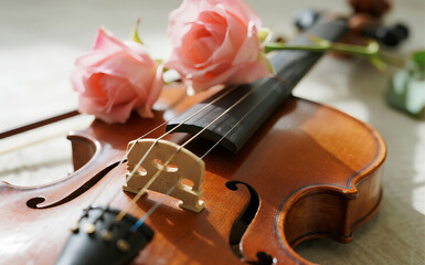 Fototapeta premium Portrait Violin Close-Up with Roses — Romantic Spring Melody