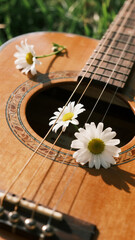 Portrait Close-Up of Acoustic Guitar Strings with Daisies &mdash; Spring Music Scene