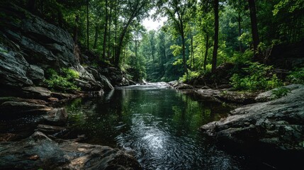 Serene forest stream, dark water reflecting trees