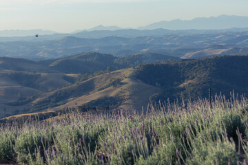 sunset with mountains view in cunha in sao paulo, with view to lavender field.