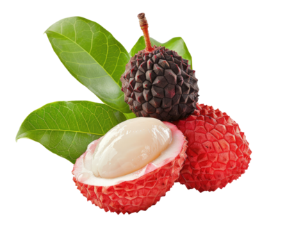 Close-up of two lychees, one whole and one halved, with vibrant red, dark purple, and green hues.  Fresh leaves are in the foreground