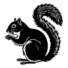 Cute Squirrel Illustration Isolated