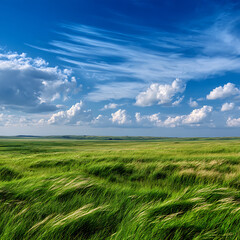 Vast Green Grassland Under Blue Sky with Clouds