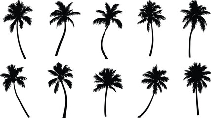 Collection of tropical palm tree silhouettes with various shapes, isolated on white background for summer, beach, and travel design, flat vector illustration