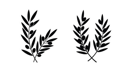 Obraz premium Elegant Olive Branch Twigs with Berries Vector Illustration silhouette