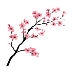 Japanese cherry blossom branches,vector