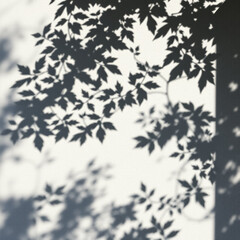 Obraz premium shadow overlay effects of realistic abstract natural tree leaves shadow on wall background,Summer sunlight and shadow overlay effect,shadow for photo interior backdrop studio mockup