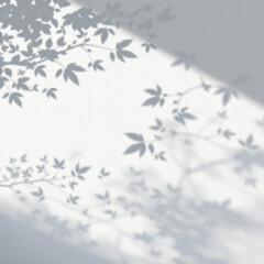 Obraz premium shadow overlay effects of realistic abstract natural tree leaves shadow on wall background,Summer sunlight and shadow overlay effect,shadow for photo interior backdrop studio mockup