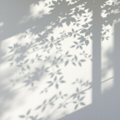 Obraz premium shadow overlay effects of realistic abstract natural tree leaves shadow on wall background,Summer sunlight and shadow overlay effect,shadow for photo interior backdrop studio mockup