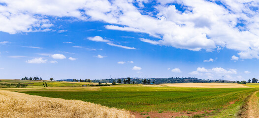Fototapeta premium Malaso World End Viewpoint Samburu County Great Rift Valley Wheat Farm Landscapes Panoramic Scenic Views Kenya East Africa Fields Meadows Vegetations Travels Documentary Explore Dramatic Clouds Magica