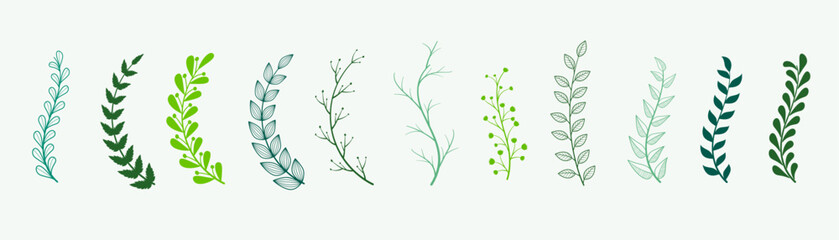 pack of organic and botanical leaves element background design