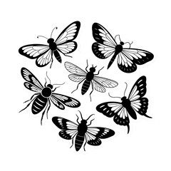 Elegant Line Art:  Butterflies and Insects Circular Design, Black and White, Nature Theme.