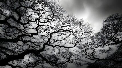 Intricate branches of trees against a cloudy sky.