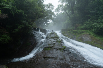 雨上がりの霧の朝の四十三万滝