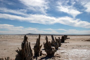 Views of the dried-up salt lake Baskunchak. The remains of wooden piles, bizarrely deformed over time by the sun. Blue sky with white clouds over Mount Bolshoe Bogdo on the horizon.
